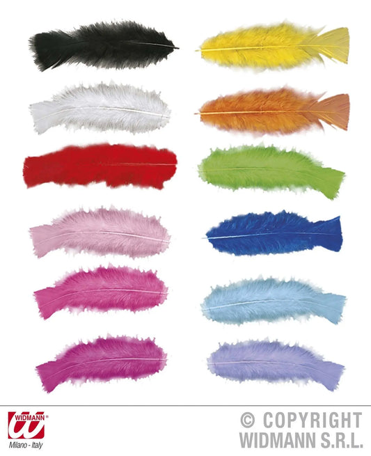 Confezione di  50 PIUME multicolor - tuttocostumi.it