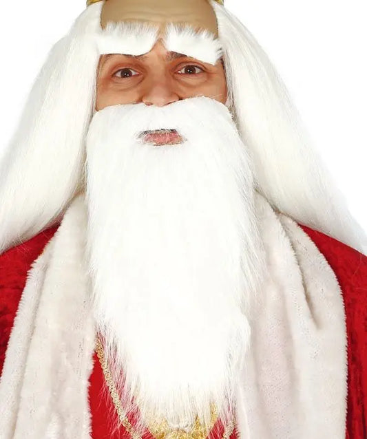 Barba bianca lunga con sopracciglia - tuttocostumi.it