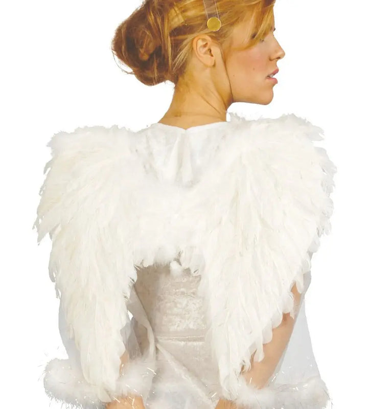 Ali bianche angelo 50 cm - tuttocostumi.it