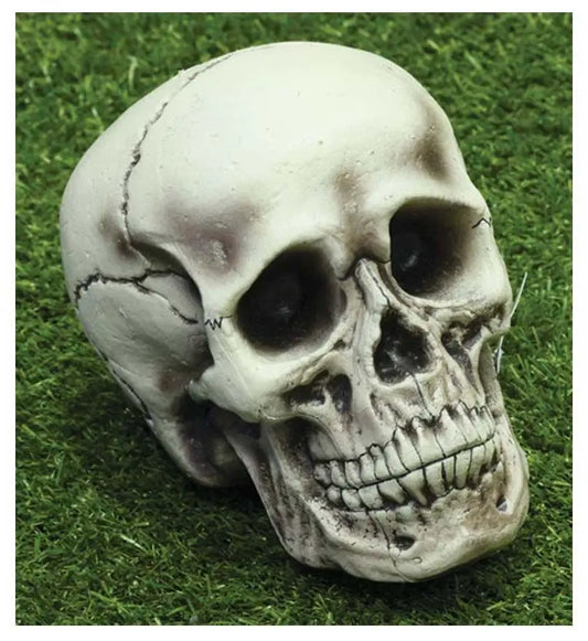 TESCHIO della morte 21 cm - tuttocostumi.it