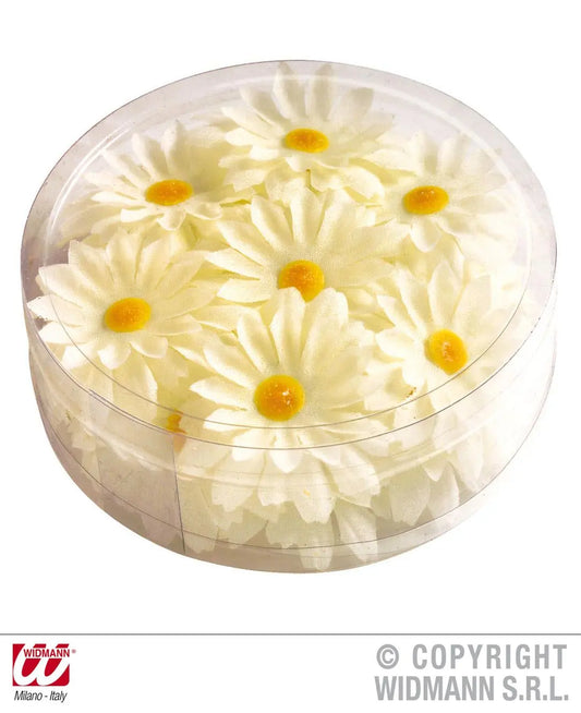 Scatola da 20 MARGHERITE decorative - tuttocostumi.it