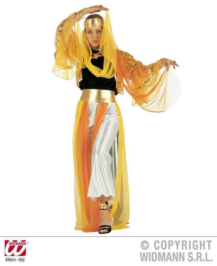 Costume ODALISCA lusso - tuttocostumi.it