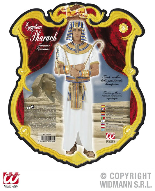 Costume FARAONE EGIZIANO - tuttocostumi.it